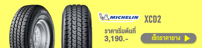 Michelin XCD2